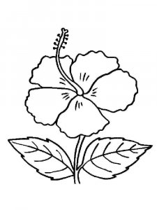Hibiscus coloring page 11 - Free printable