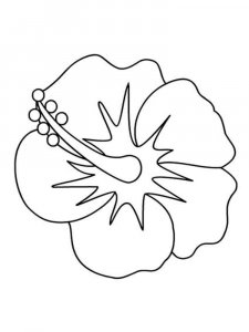 Hibiscus coloring page 8 - Free printable