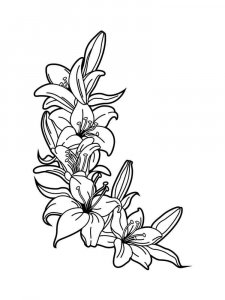 Lilies coloring page 31 - Free printable