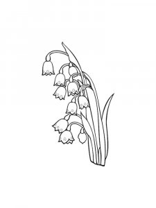 Lily of the Valley coloring page 16 - Free printable