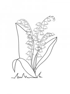 Lily of the Valley coloring page 18 - Free printable