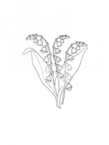 Lily of the Valley coloring page 20 - Free printable