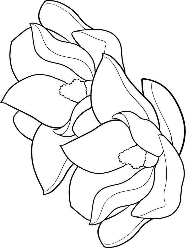 magnolia flower coloring pages - photo #6