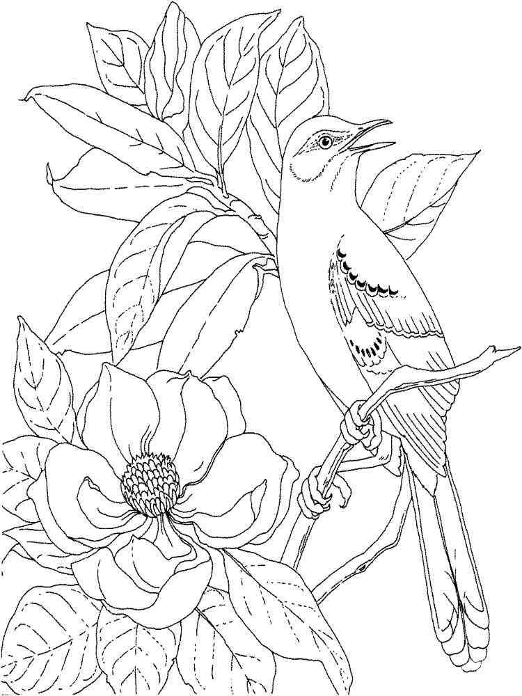 magnolia flower coloring pages - photo #16