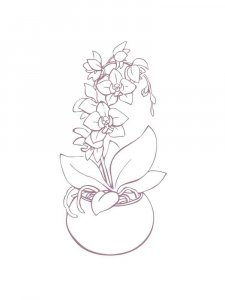 Orchid coloring page 31 - Free printable