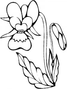 Orchid coloring page 11 - Free printable