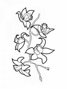 Orchid coloring page 12 - Free printable