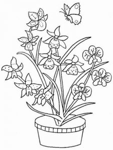 Orchid coloring page 15 - Free printable