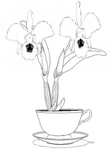 Orchid coloring page 9 - Free printable
