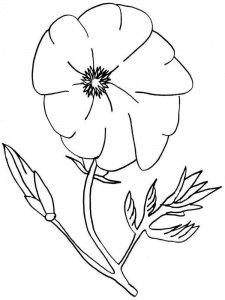 Poppy coloring page 12 - Free printable