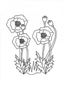 Poppy coloring page 15 - Free printable