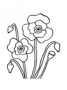 Poppy coloring page 6 - Free printable