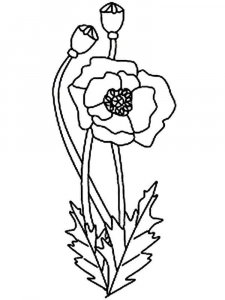 Poppy coloring page 7 - Free printable