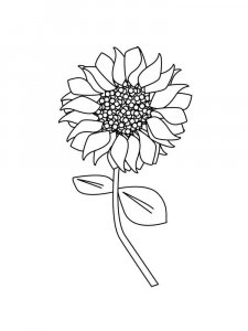 Sunflower coloring page 1 - Free printable