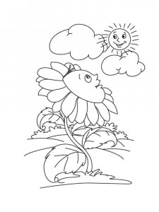 Sunflower coloring page 10 - Free printable