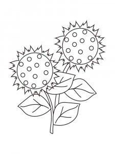 Sunflower coloring page 13 - Free printable