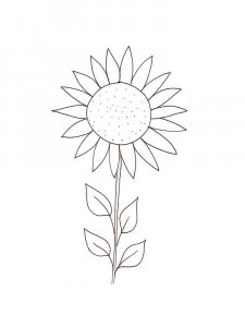 Sunflower coloring page 14 - Free printable