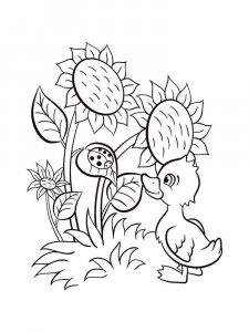 Sunflower coloring page 15 - Free printable