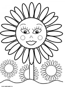 Sunflower coloring page 19 - Free printable