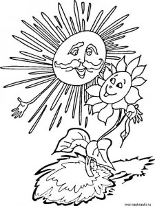 Sunflower coloring page 21 - Free printable