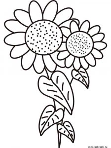 Sunflower coloring page 23 - Free printable
