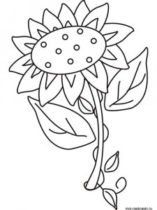 Sunflower coloring page 24 - Free printable