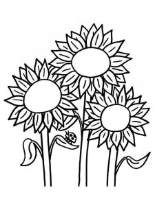 Sunflower coloring page 28 - Free printable