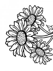 Sunflower coloring page 32 - Free printable