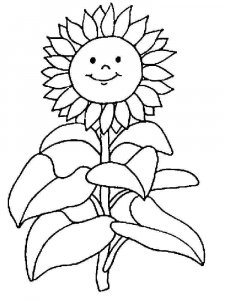 Sunflower coloring page 33 - Free printable