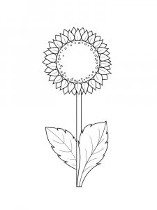 Sunflower coloring page 4 - Free printable