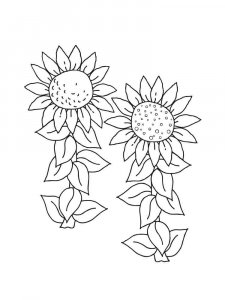 Sunflower coloring page 5 - Free printable