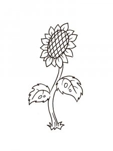 Sunflower coloring page 7 - Free printable