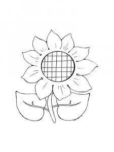Sunflower coloring page 8 - Free printable