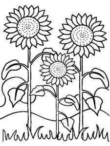 Sunflower coloring page 38 - Free printable