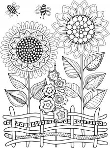 Sunflower coloring page 41 - Free printable