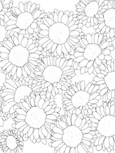 Sunflower coloring page 44 - Free printable