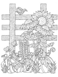 Sunflower coloring page 46 - Free printable