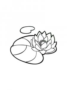Water Lily coloring page 16 - Free printable