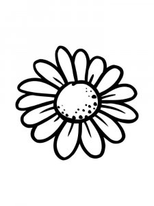 Chamomile coloring page 22 - Free printable