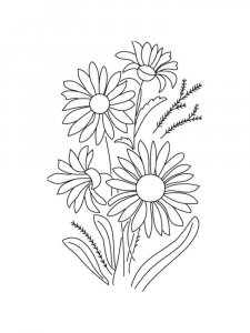 Chamomile coloring page 32 - Free printable
