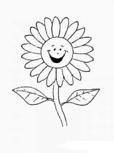 Chamomile coloring page 13 - Free printable