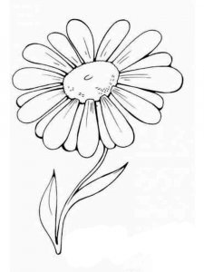 Chamomile coloring page 4 - Free printable