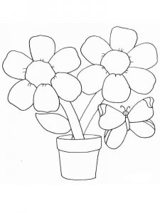 Chamomile coloring page 7 - Free printable