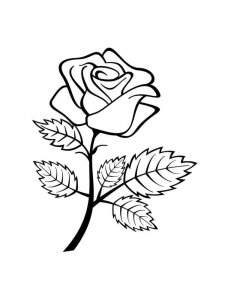 Rose coloring page 23 - Free printable