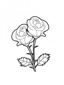 Rose coloring page 27 - Free printable