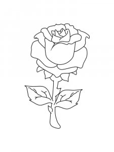 Rose coloring page 28 - Free printable