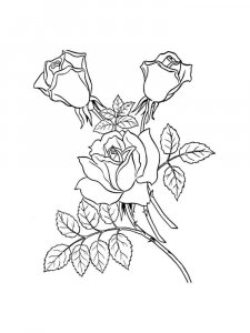 Rose coloring page 29 - Free printable