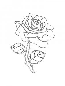 Rose coloring page 34 - Free printable