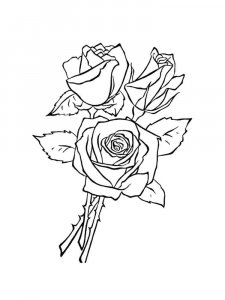 Rose coloring page 36 - Free printable