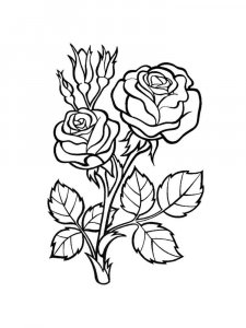 Rose coloring page 37 - Free printable